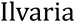 Ilvaria